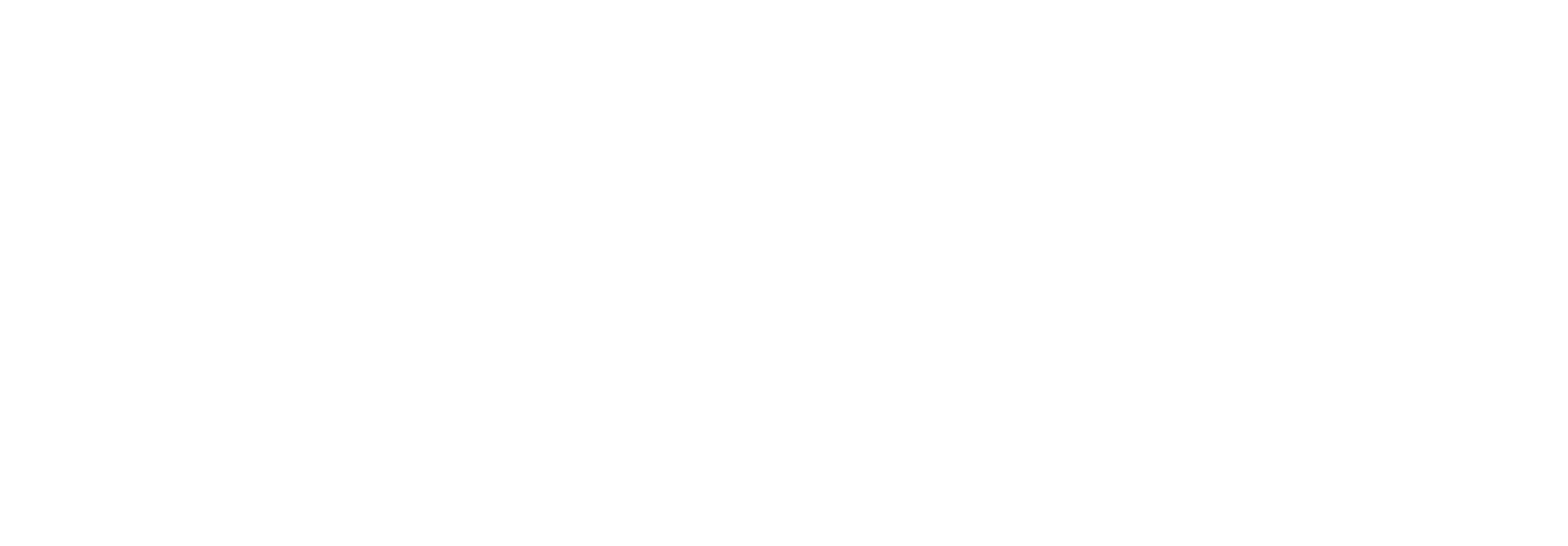 Logo Clavis