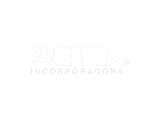 Logo Setin